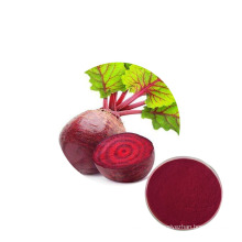 Factory Supply 100% Pure Natural Red Beet Root Extract Powder